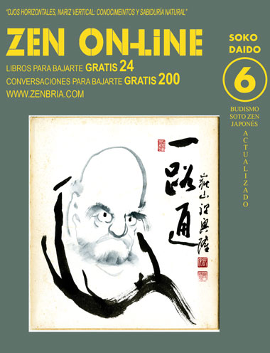 Zen on-line 6